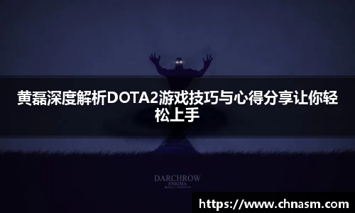黄磊深度解析DOTA2游戏技巧与心得分享让你轻松上手